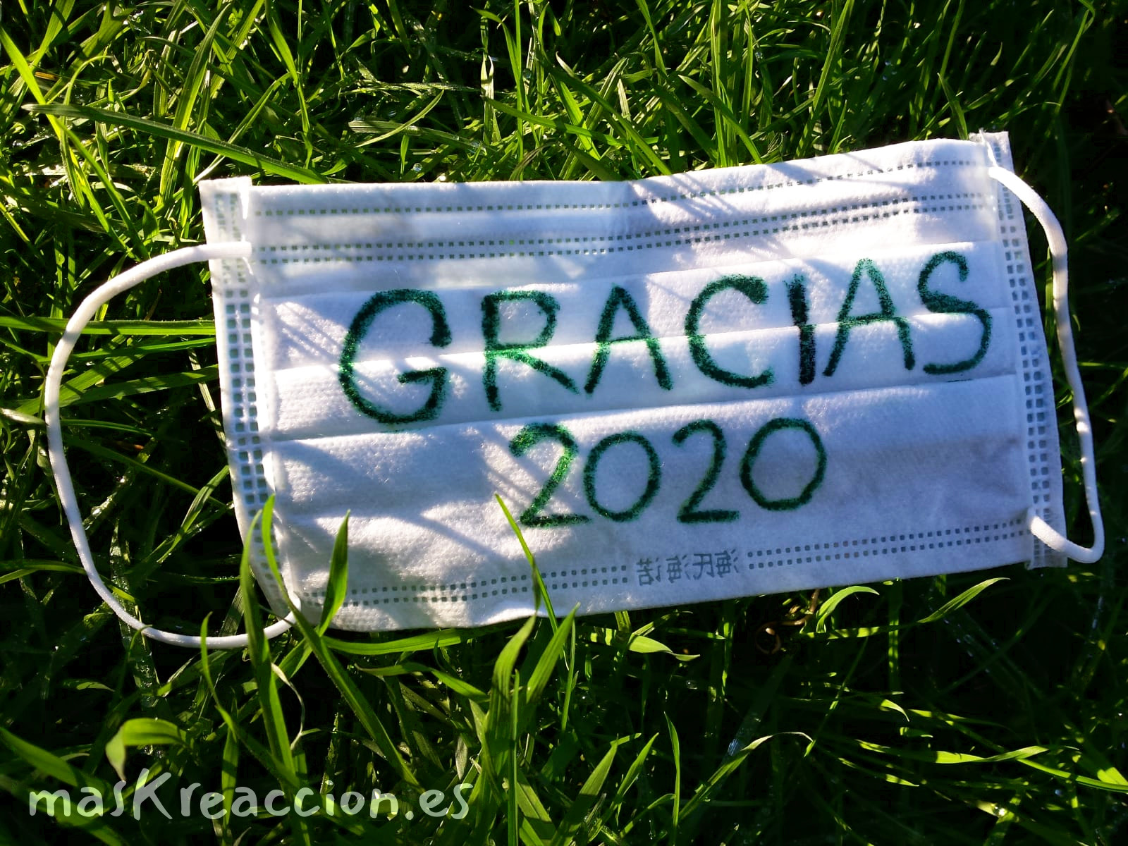 Gracias 2020 – IV