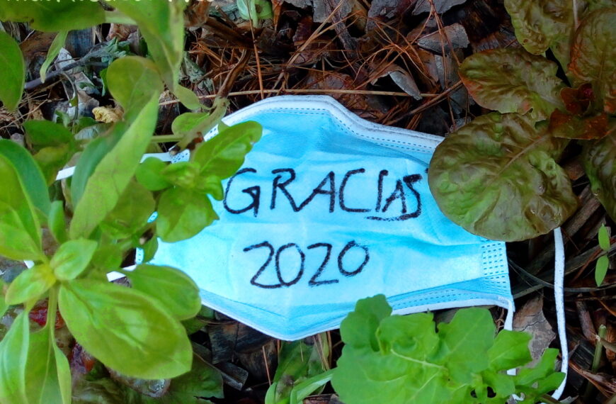 Gracias 2020 – II